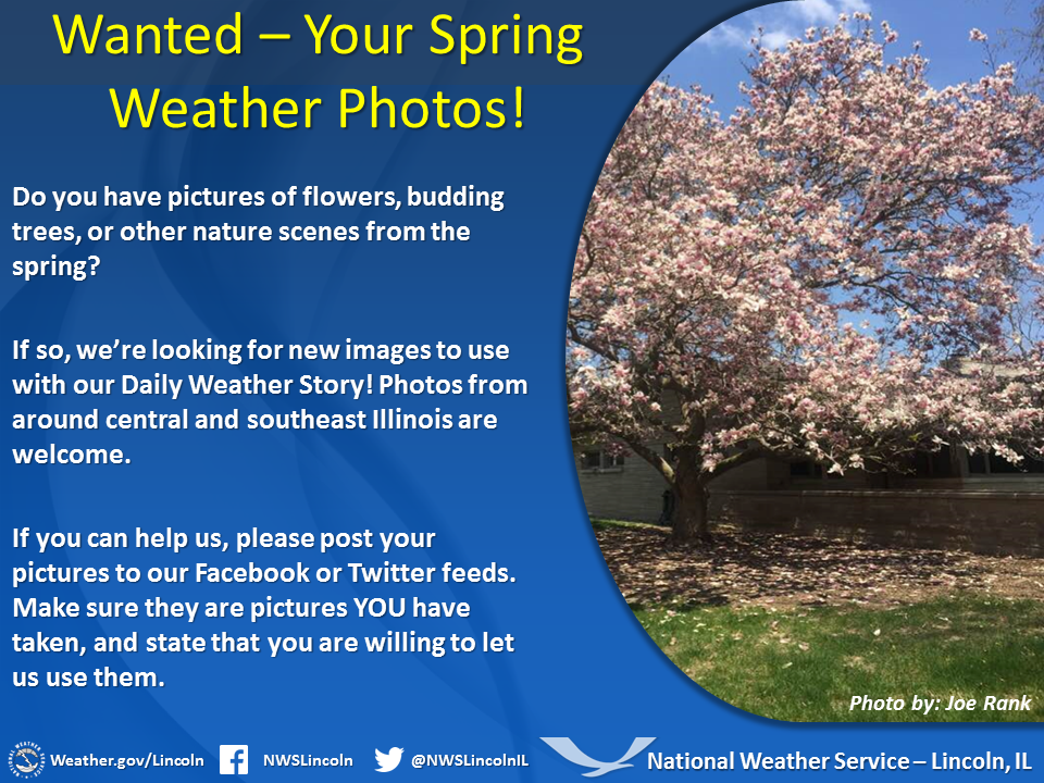 Wanted Your Spring Photos!